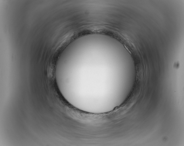 X0000090700044200708101452