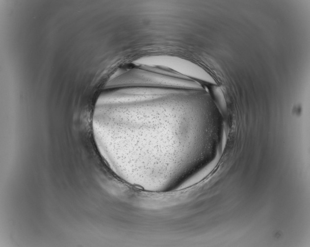X0000090700045200708101452