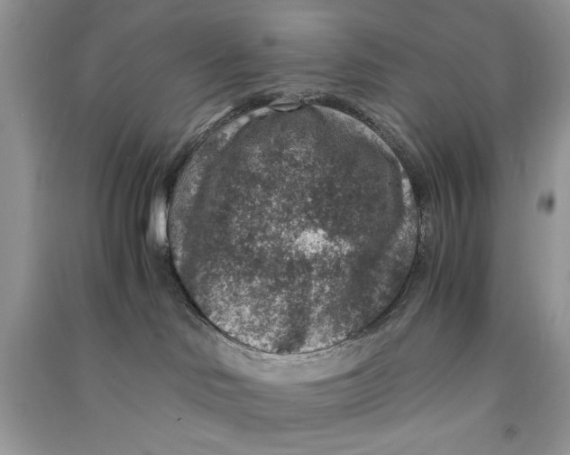 X0000090700046200708101452