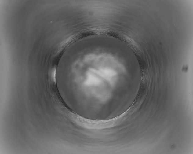 X0000090700047200708101452