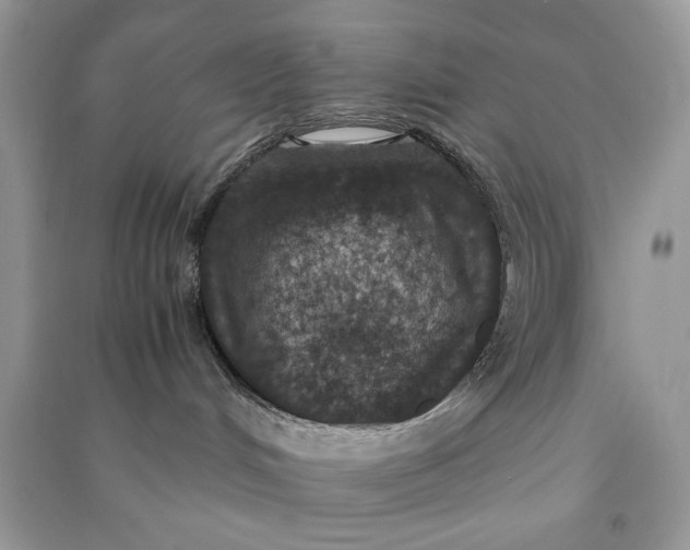 X0000090700048200708101452