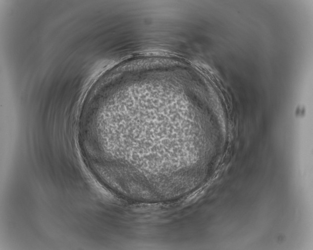 X0000090700049200708101451