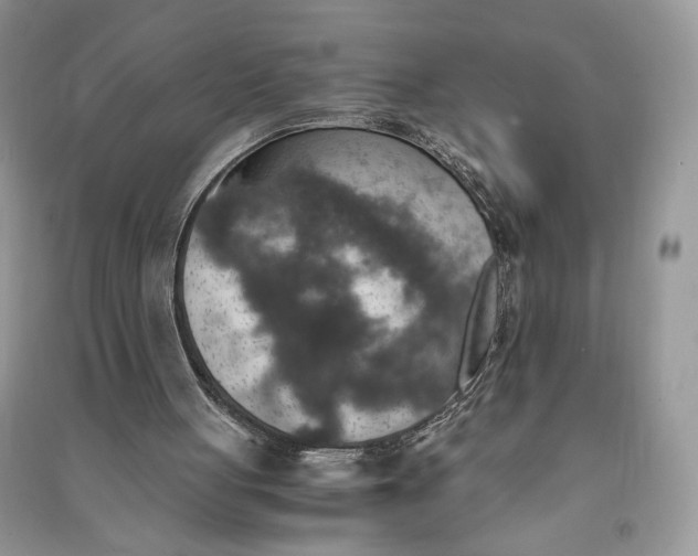 X0000090700051200708101451