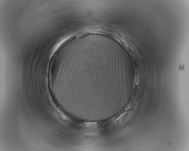 X0000090700052200708101451