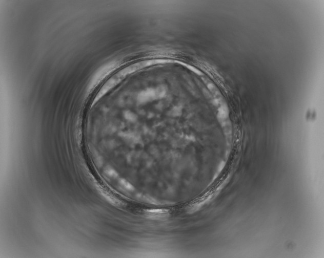 X0000090700053200708101451