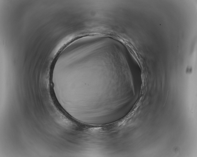 X0000090700054200708101451