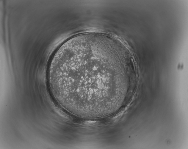 X0000090700055200708101451