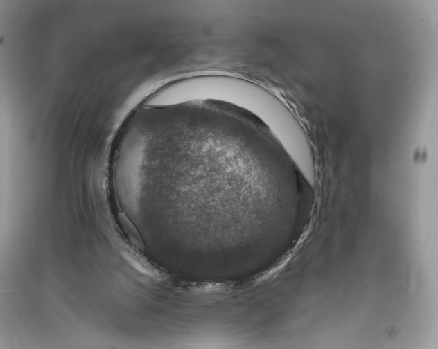 X0000090700056200708101451