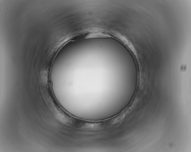 X0000090700057200708101451