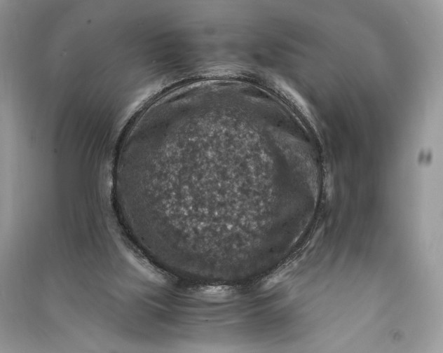 X0000090700059200708101451