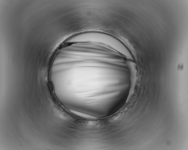 X0000090700060200708101451