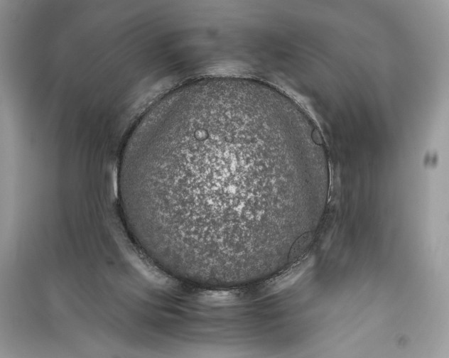 X0000090700061200708101451