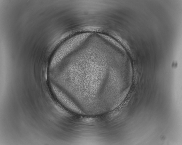 X0000090700062200708101451