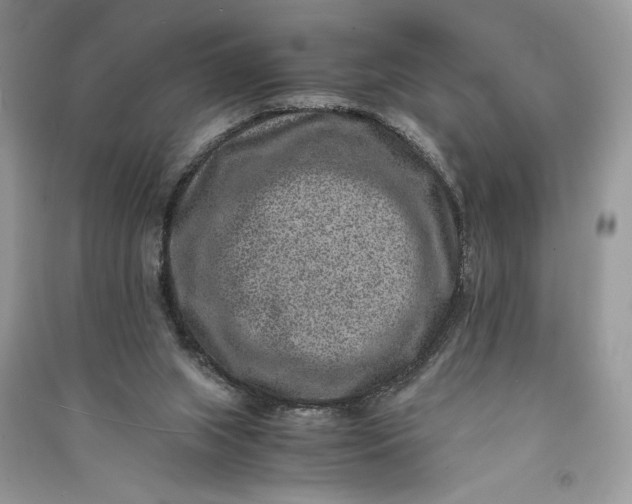 X0000090700063200708101451