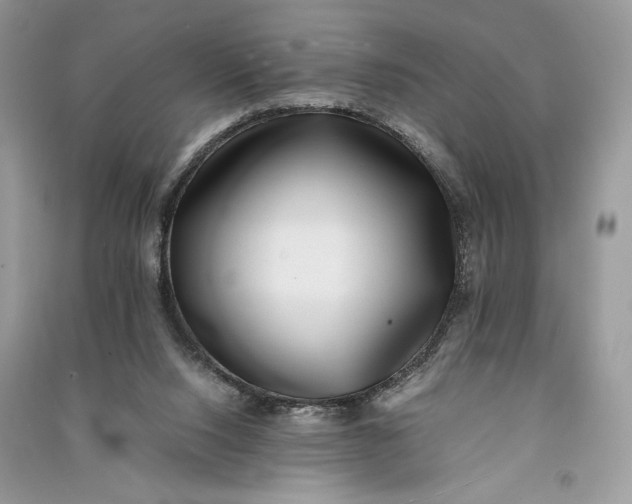 X0000090700064200708101451