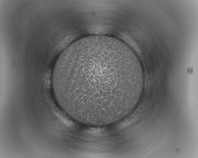 X0000090700065200708101451