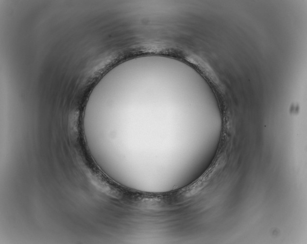X0000090700066200708101451