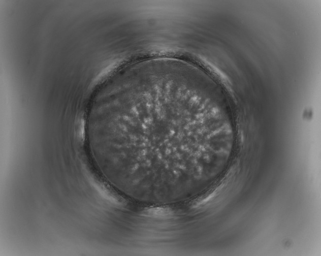 X0000090700067200708101451