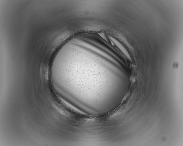 X0000090700068200708101451