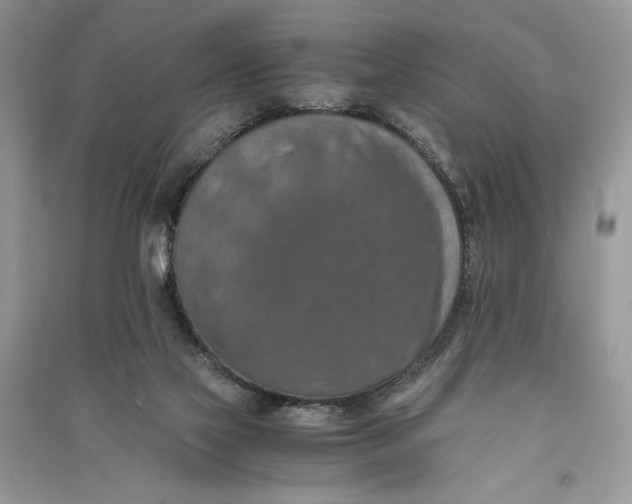 X0000090700069200708101451