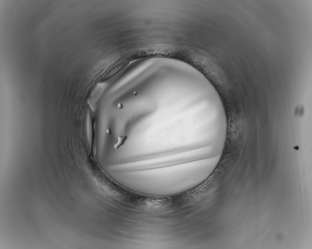 X0000090700070200708101451