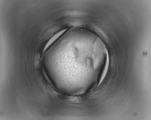 X0000090700073200708101451
