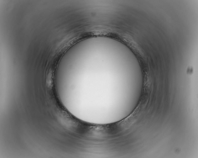 X0000090700074200708101451