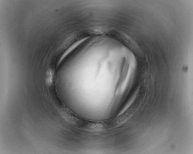X0000090700075200708101451
