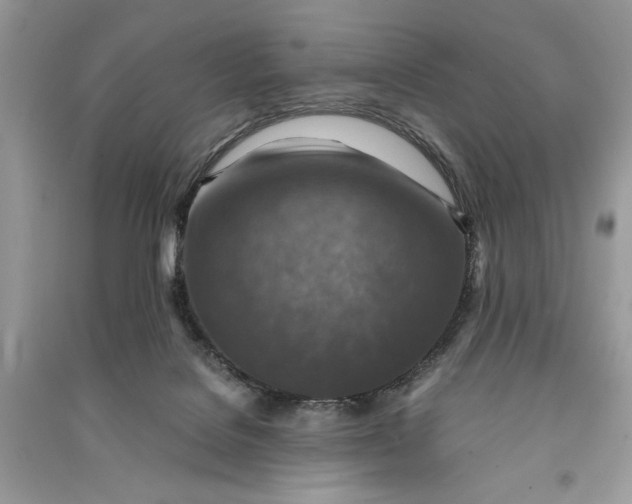 X0000090700076200708101451