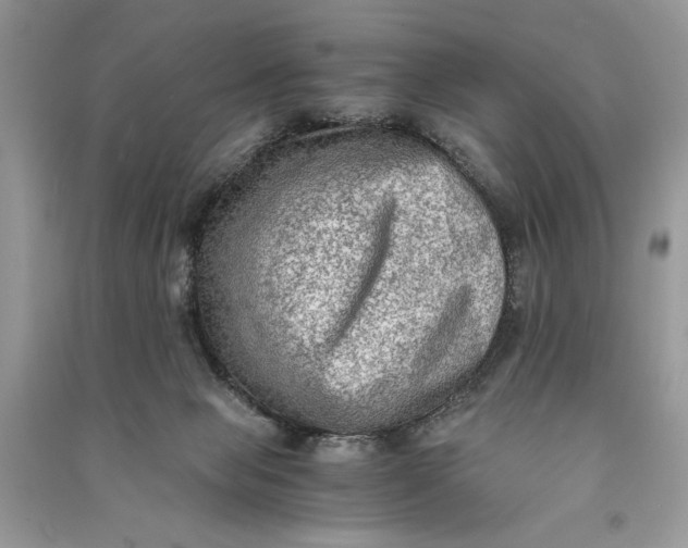 X0000090700077200708101451