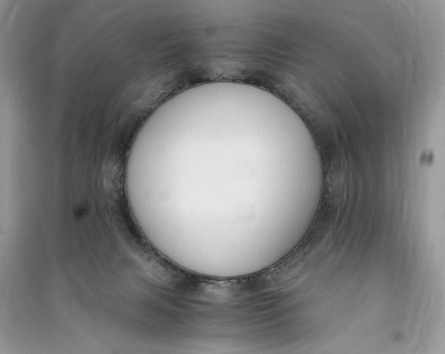 X0000090700079200708101451
