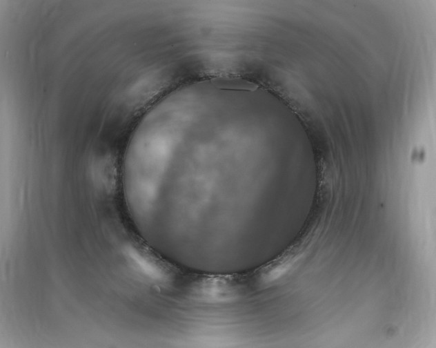 X0000090700080200708101451