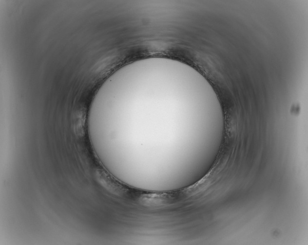 X0000090700082200708101451
