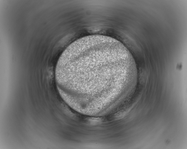 X0000090700085200708101451