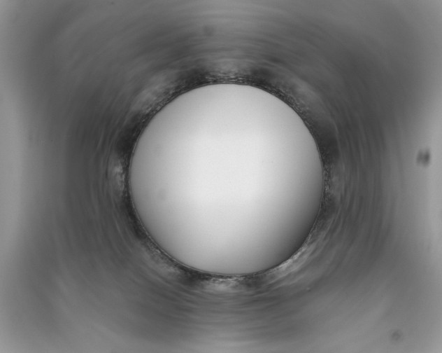 X0000090700086200708101451