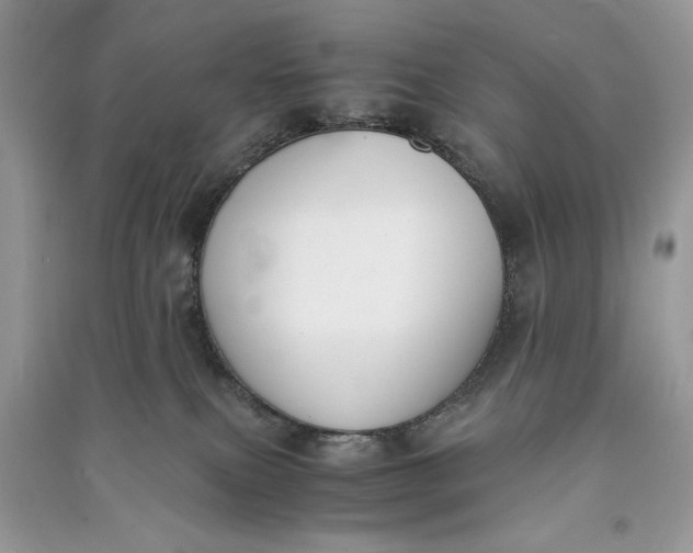 X0000090700087200708101451