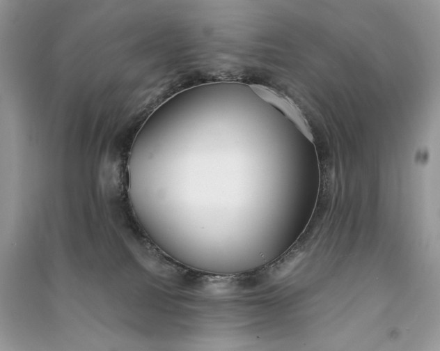 X0000090700088200708101451