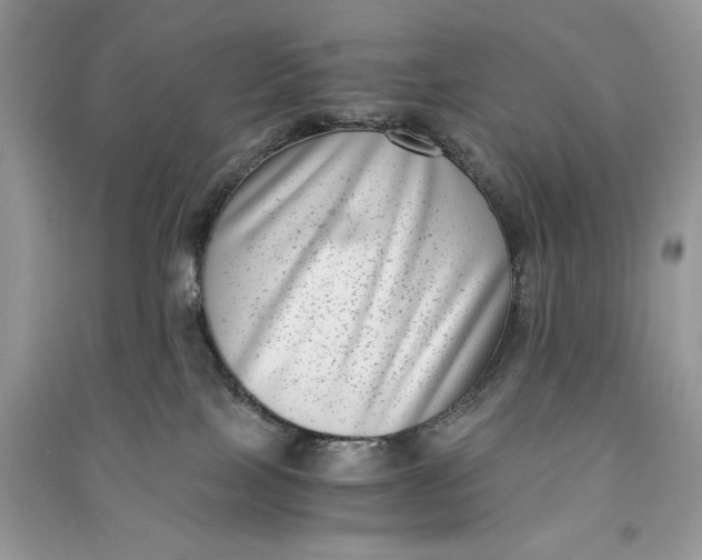 X0000090700089200708101451