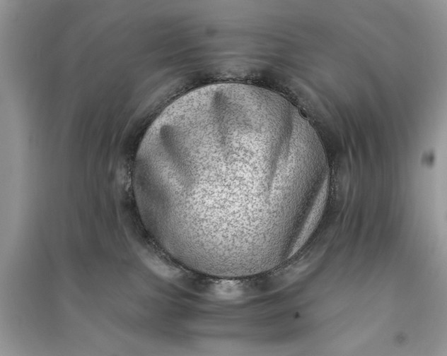 X0000090700091200708101451