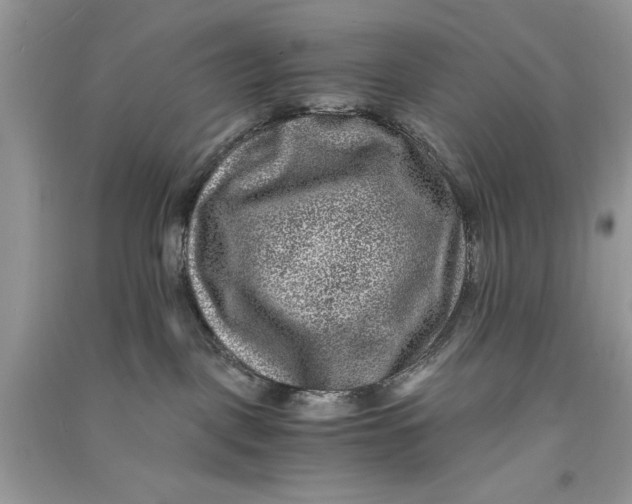 X0000090700093200708101451