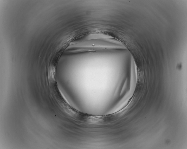 X0000090700094200708101451