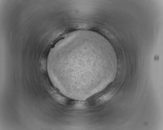 X0000090700096200708101451
