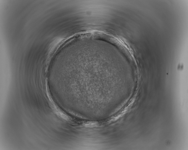 X0000090700097200708101451