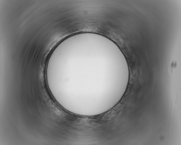 X0000090700098200708101451