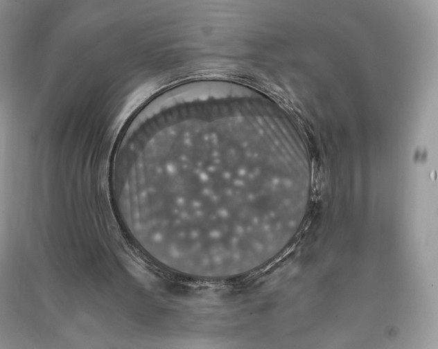 X0000090700099200708101451
