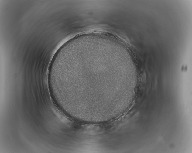 X0000090700100200708101451