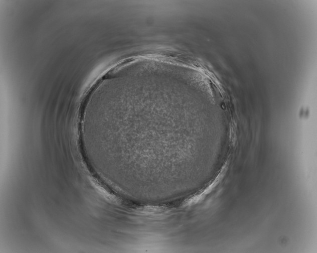 X0000090700101200708101451
