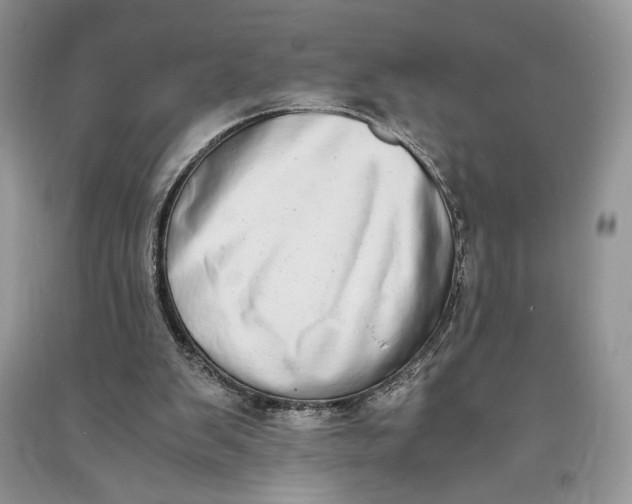 X0000090700103200708101451