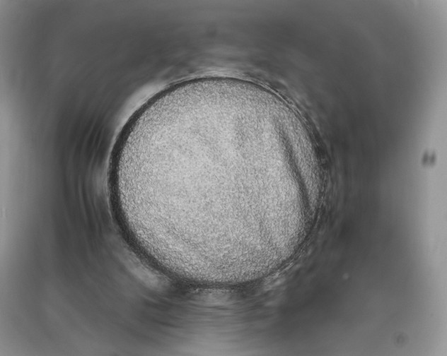 X0000090700104200708101451