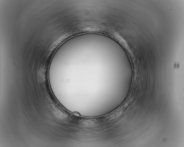 X0000090700106200708101451